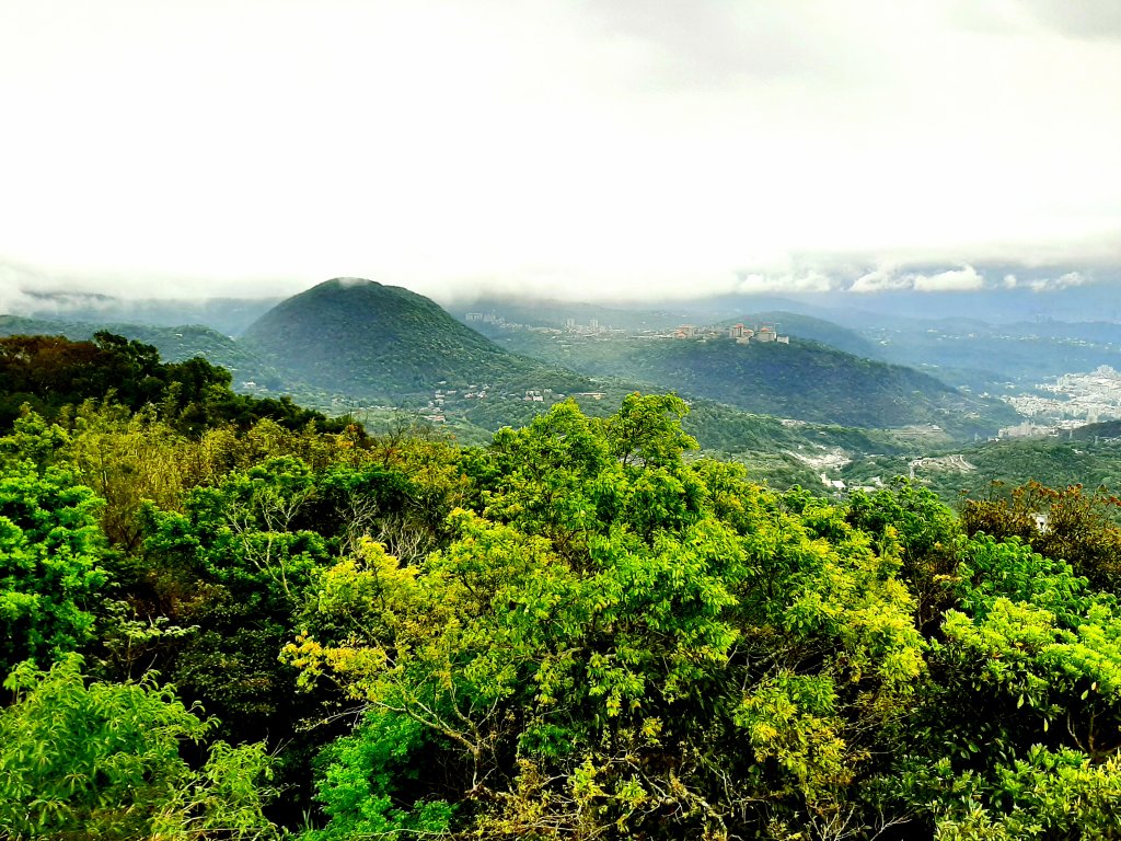 走遍陽明山：大屯山系｜青楓、中正山步道封面圖