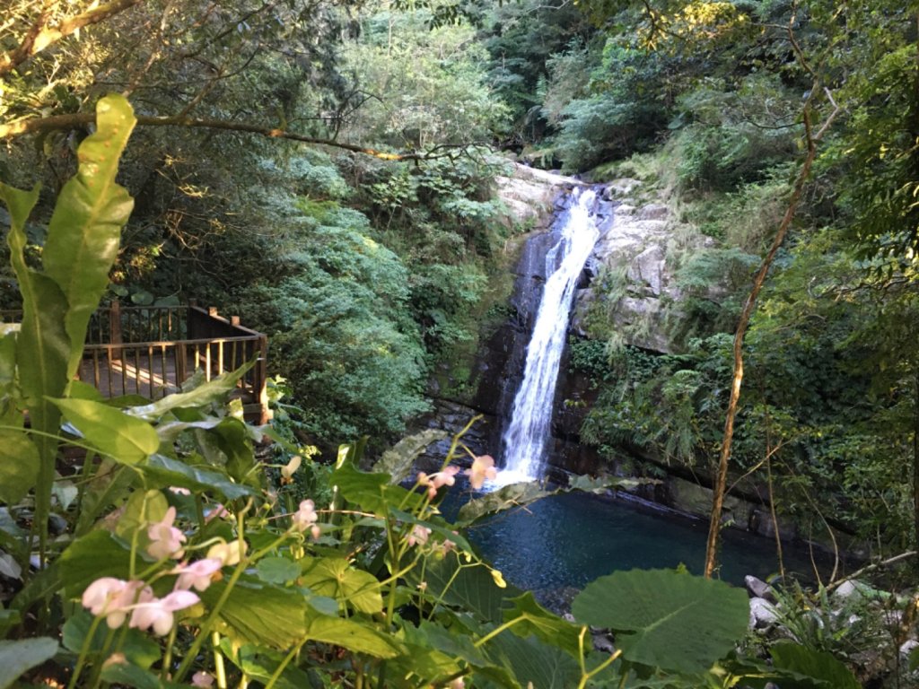 鳥結o. (內鳥嘴、那是山_2595889