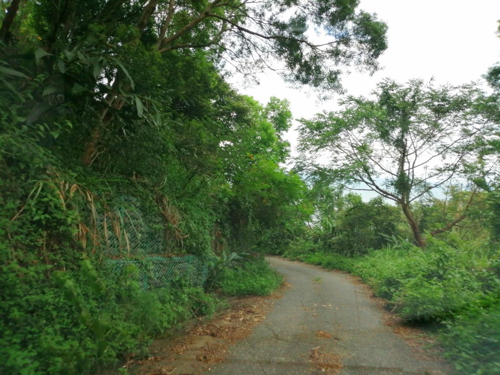 開車就能欣賞無敵海景#96小百岳巴塱衛山_723548