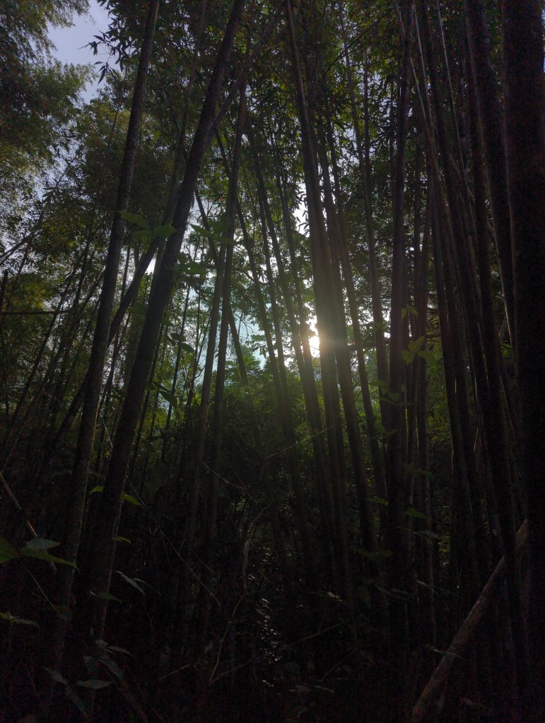 2024.10.12－會讓人迷糊的地方：迷糊步道_2627766