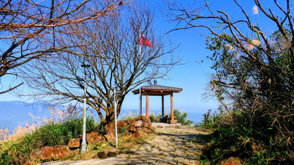 水返之城_2982938