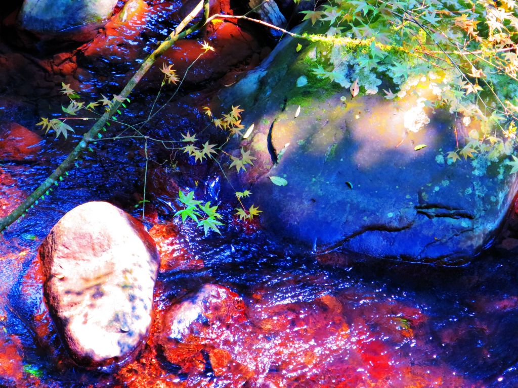 漫步大崎頭步道 一探台北市梯田美景_290905