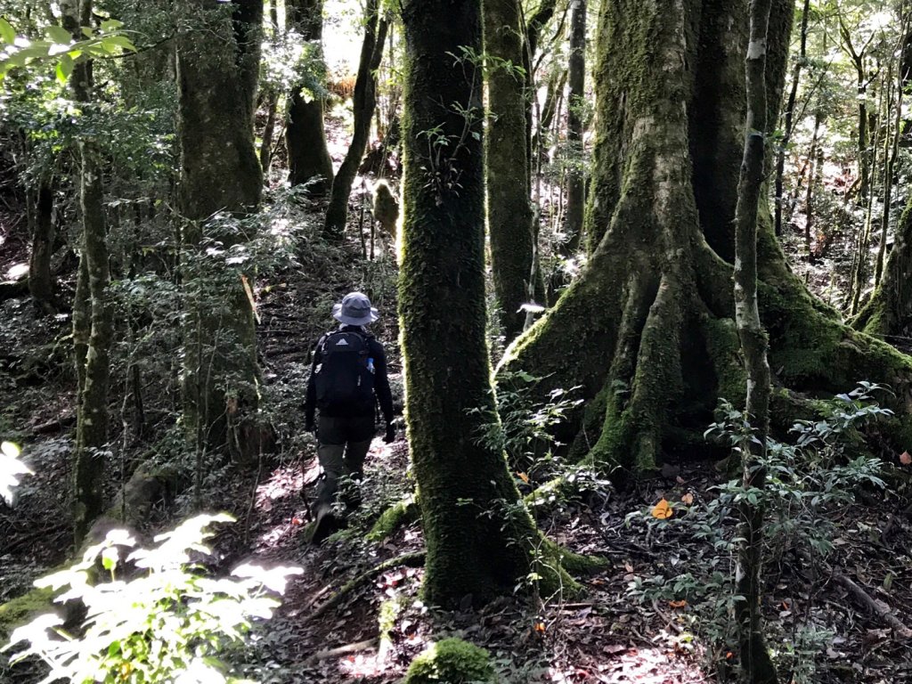 養老山走基那吉山_494156