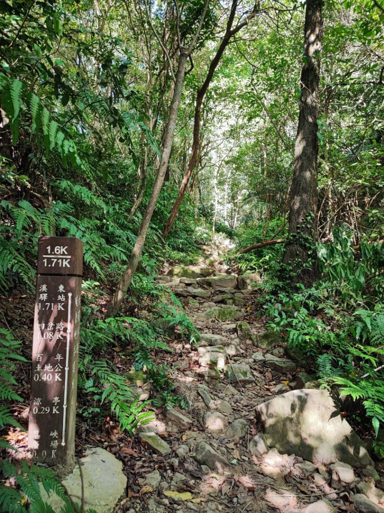 暖東峽谷步道-(基隆)臺灣百大必訪步道_2249151