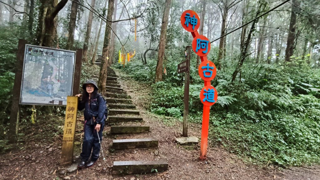 神阿縱走~台灣難抵極~大塔山_2971394