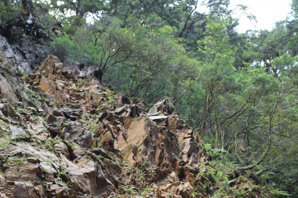 合歡溪步道健行_174509