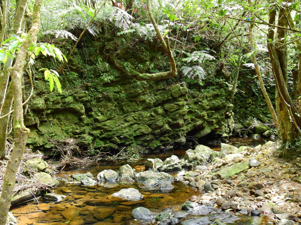 沒力虎豹潭_178203