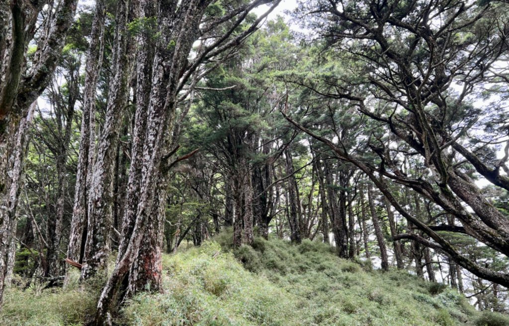 南橫三星 + 關山_1743846