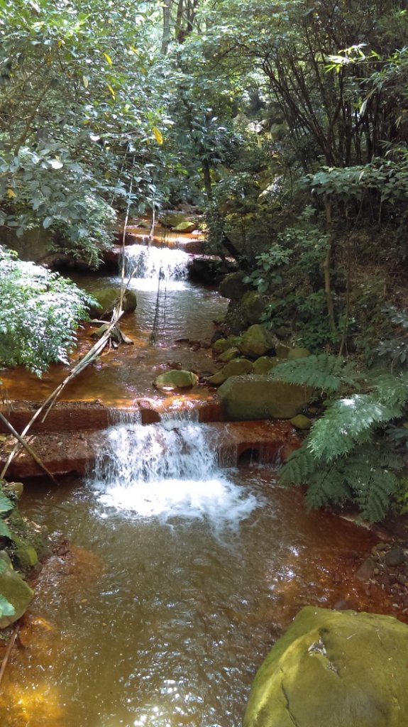 【臺北親山拓印趣】天母古道、翠峰瀑布_1020075