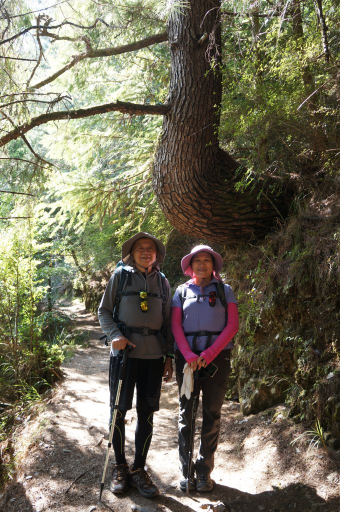 雪山主、東峰登山趣_388921