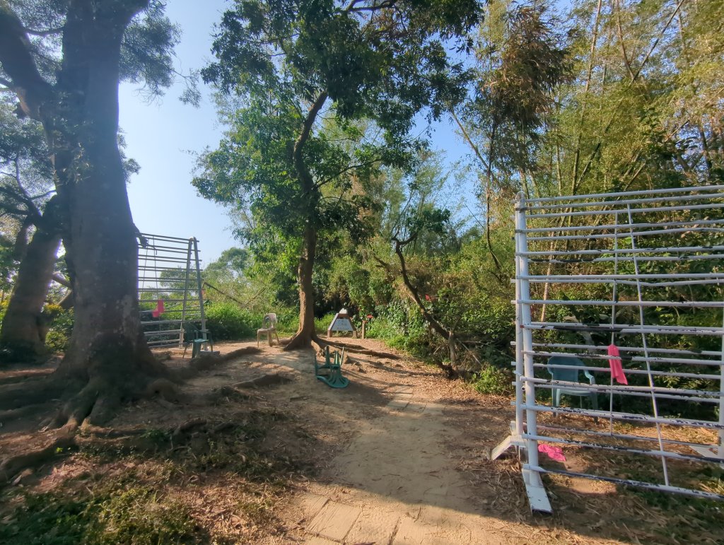 2025.03.24－大崗山_2746338