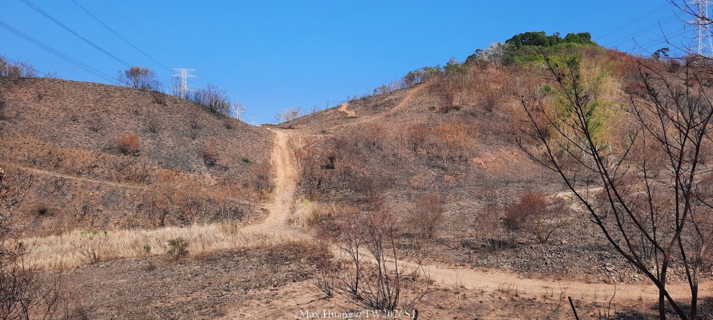 《台中》短暫暖陽｜龍井竹坑南寮步道O繞20260104_2976408
