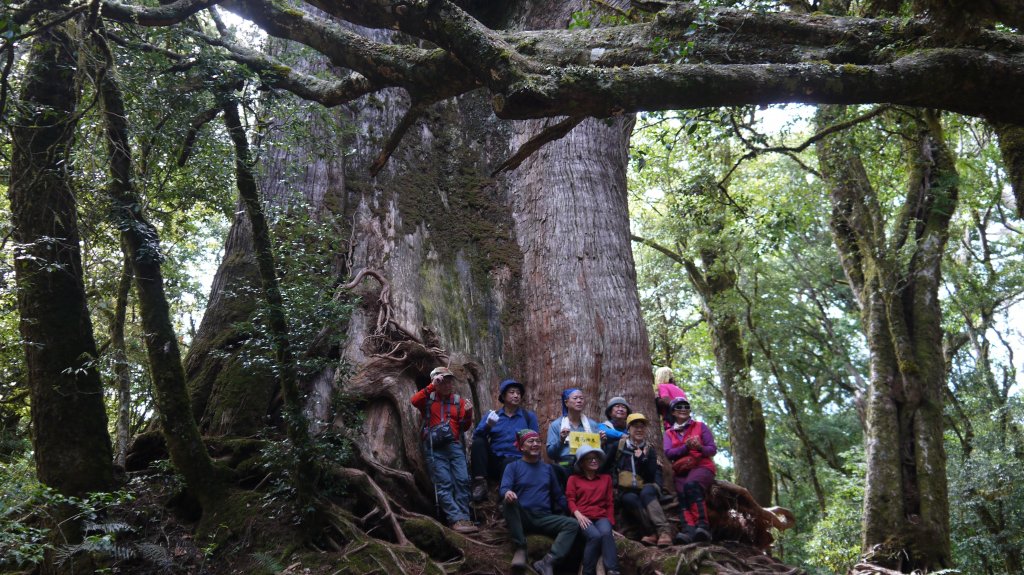 馬武佐野郡山登山健行趣(中級山)_1508864
