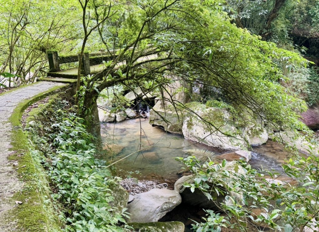 登峰古圳訪高頂山 北五指山 出荷蘭古道 快閃聖人瀑布_2982309