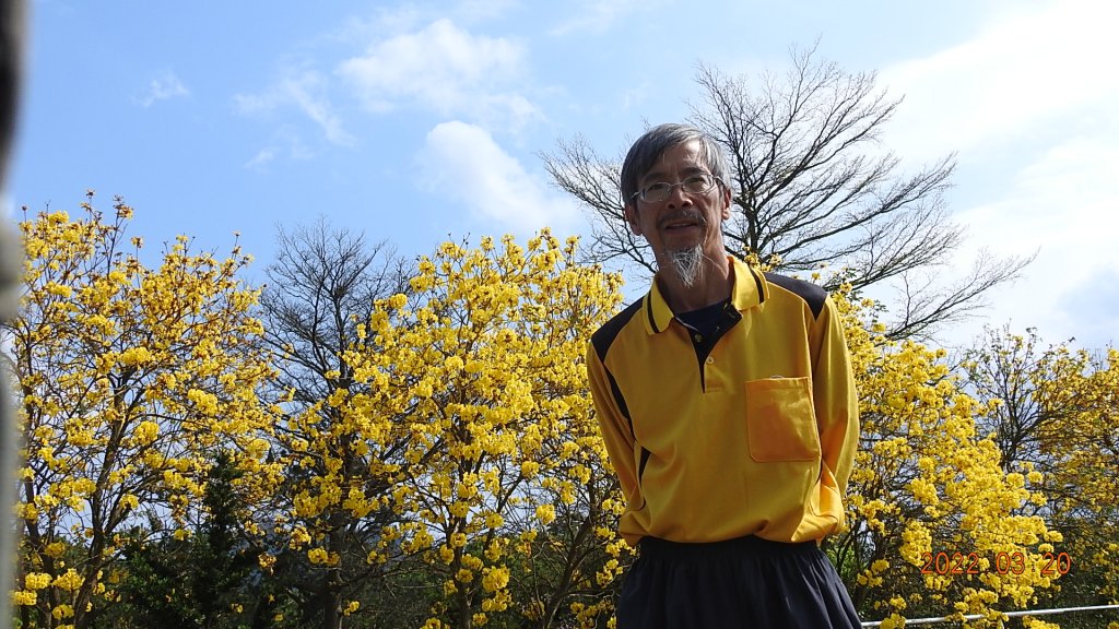 陽明山花季，追雲差強人意封面圖