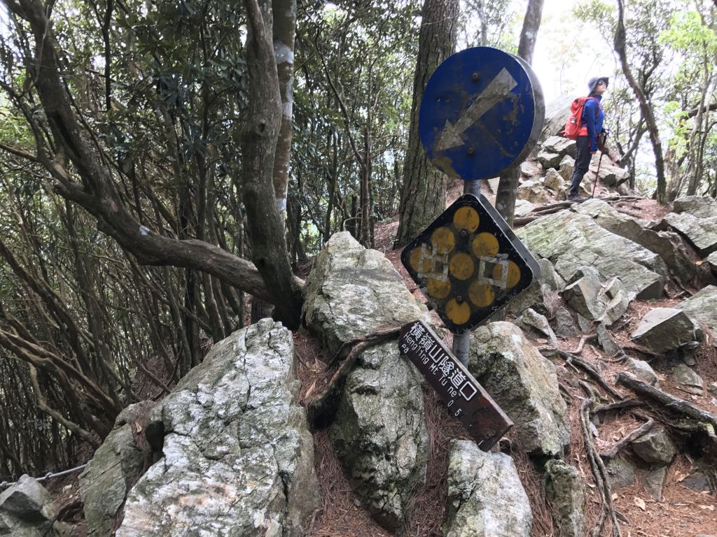 登橫嶺山環走自然步道_118194