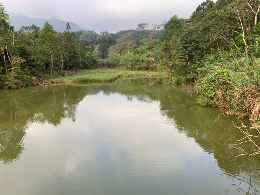 苗栗向天湖步道。_560120