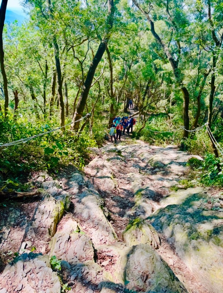 笠頂山（小百岳#76）_2667712