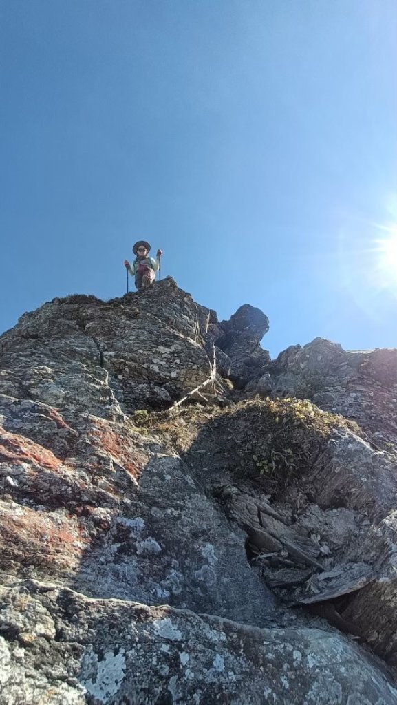 北二段之 甘薯無明_2611883