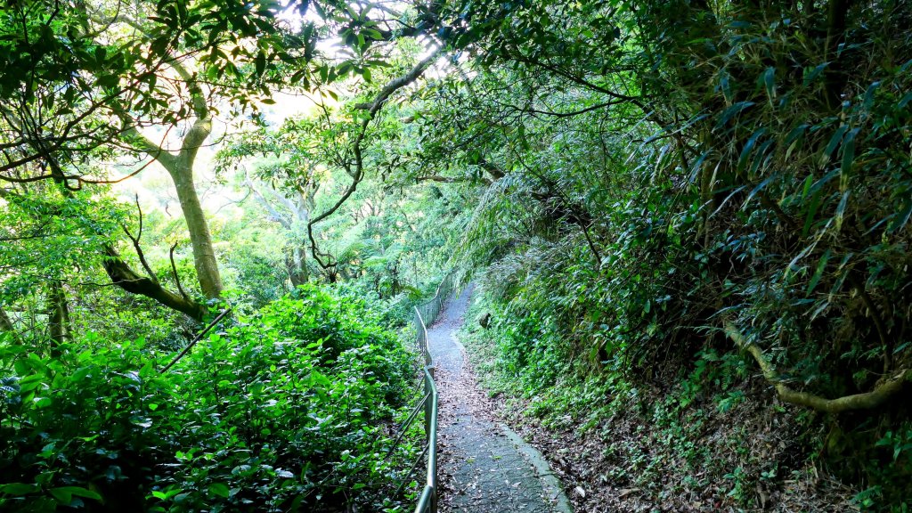 猴崁古道。盧特訪積_2773374