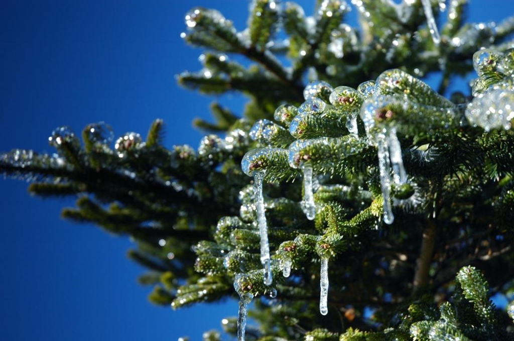 【山岳之美】南華山結冰了_7383