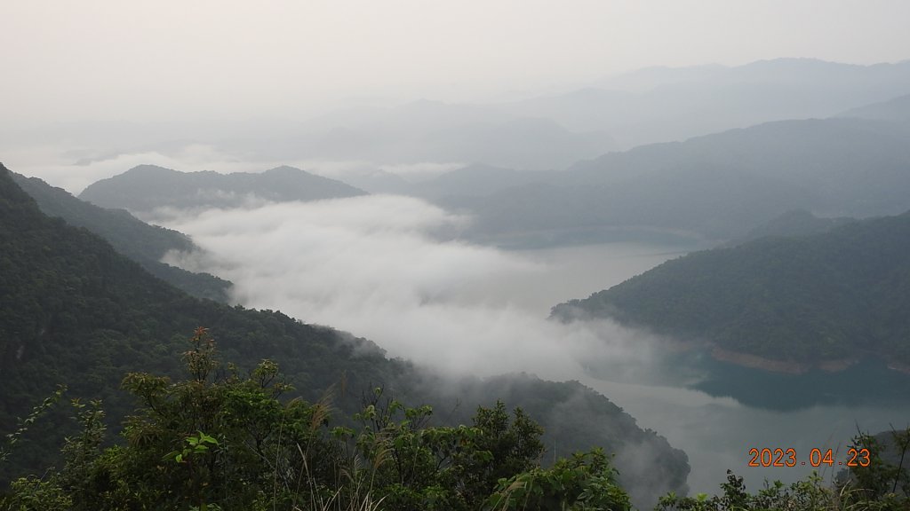 翡翠水庫壩頂(新店四十份)再見日出雲海+賞 #松月櫻 &桐花_2124423