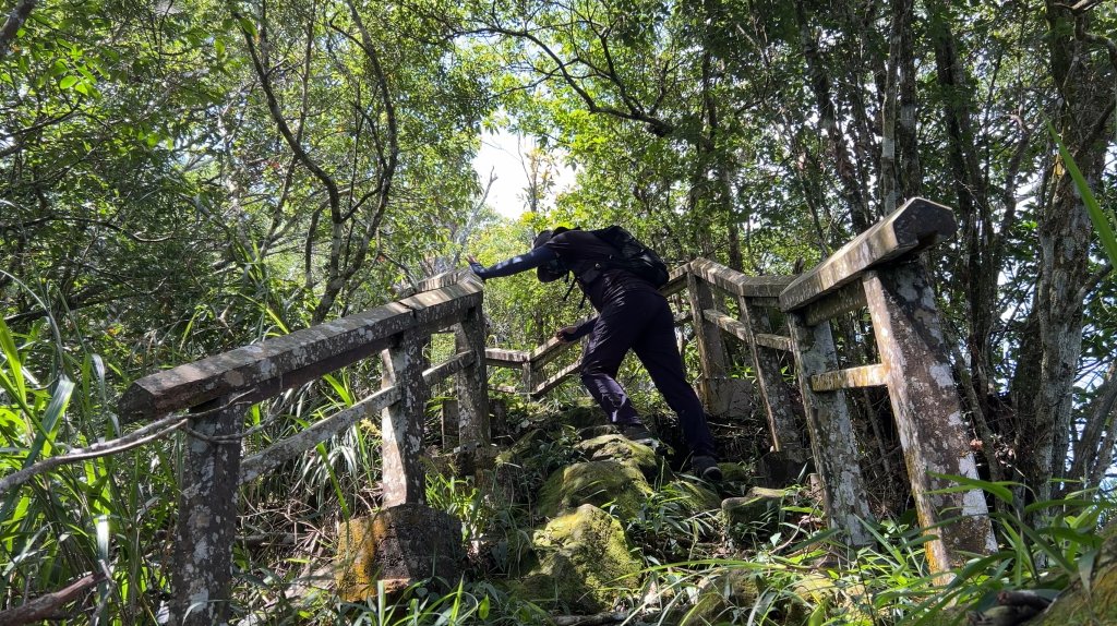 九份二山_2597574