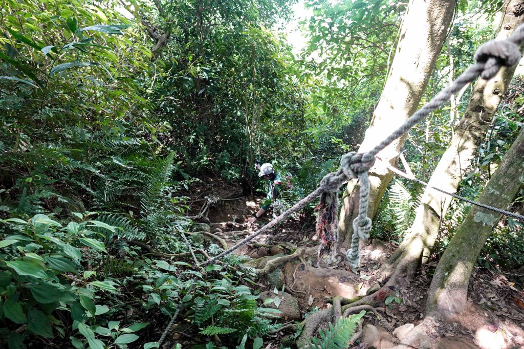 溪洲山小百岳｜福山巖登山步道_2898906
