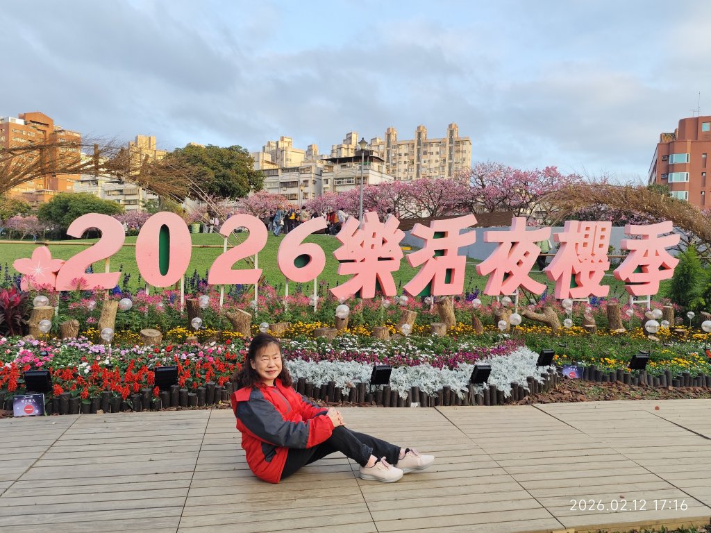 【新春賞櫻樂】平菁街42巷、宜蘭頭城火車站、二二八和平公園、東湖樂活公園_3007717