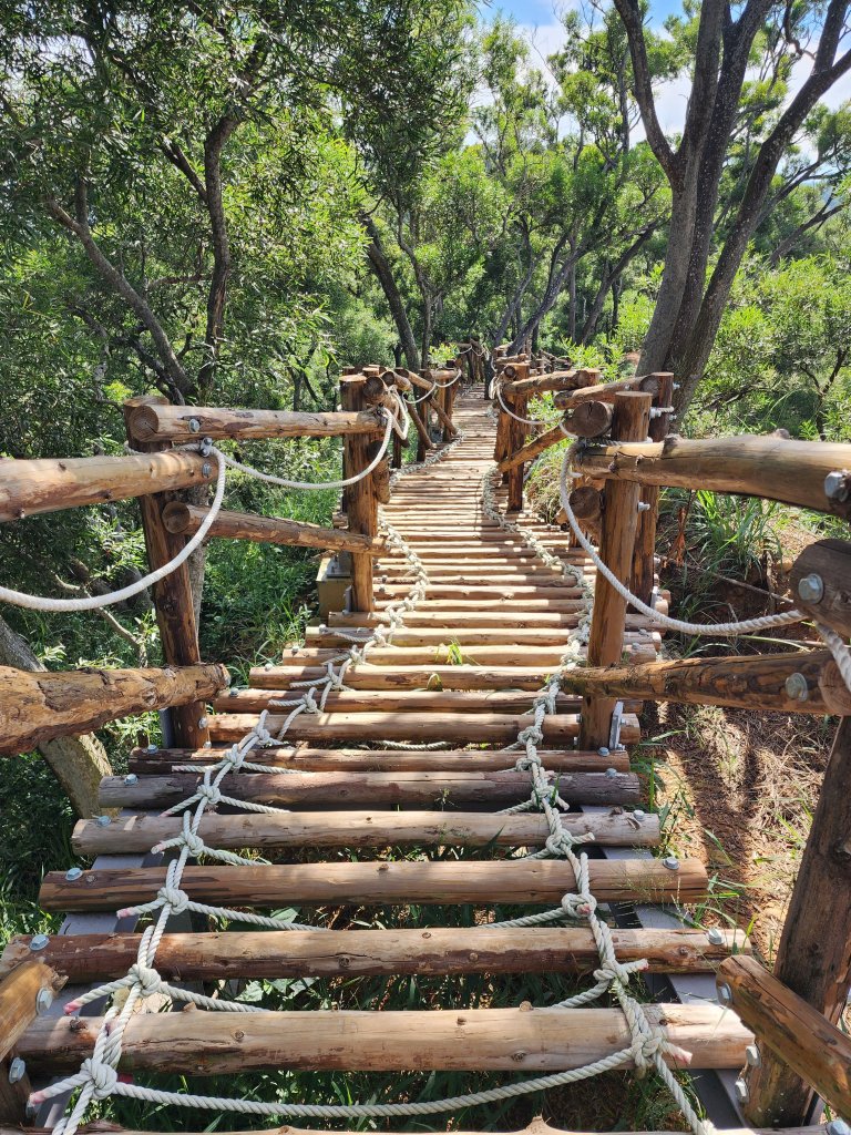 新竹新埔｜文山步道｜犁頭山_2891116