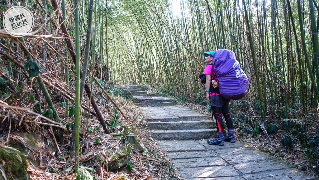 阿里山山脈越嶺步道大串走D2_543667