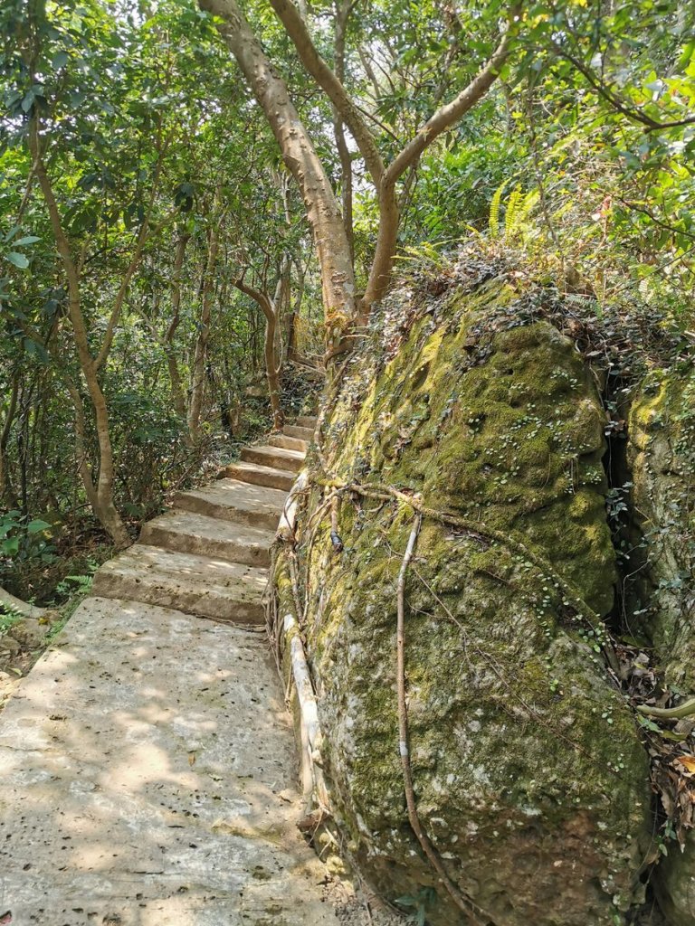 臺北大縱走4~6段 - 意外收穫的夜景 _875573