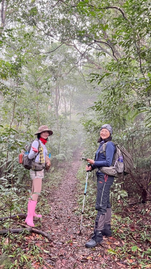烏來大桶山.大桶山東峰.四崁水山_2450714