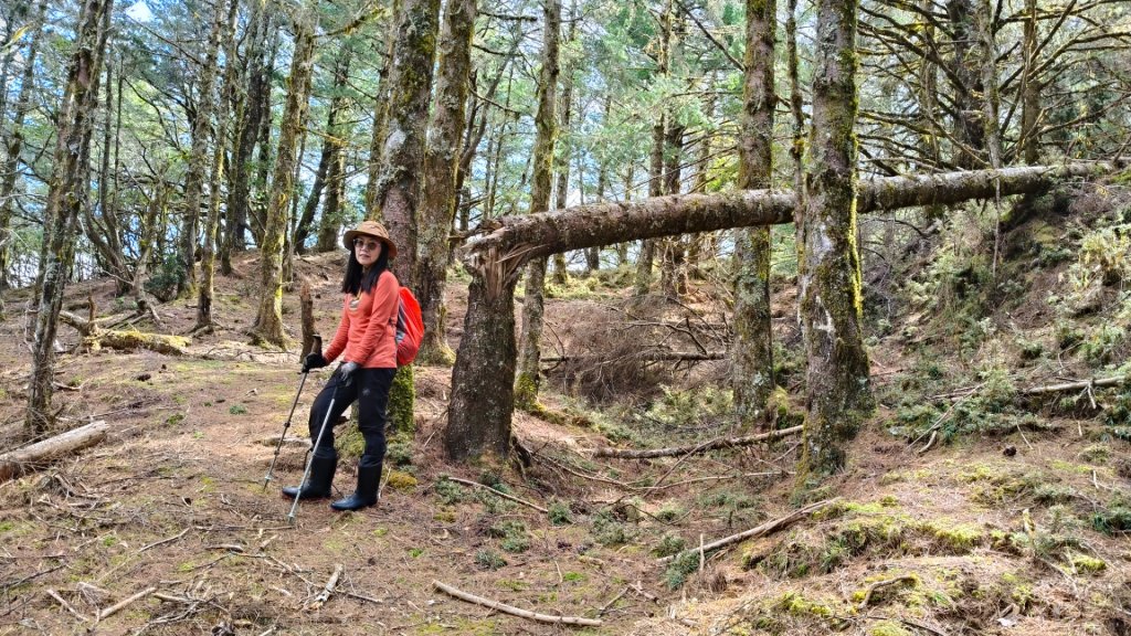 新康五天~戒茂斯進，出瓦拉米_2949662