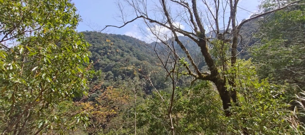 拉拉山國家森林遊樂區_2752202