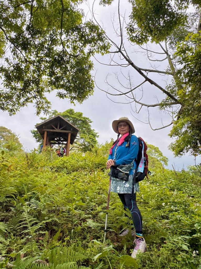 鳳凰谷步道走凍頂麒麟山_2770456