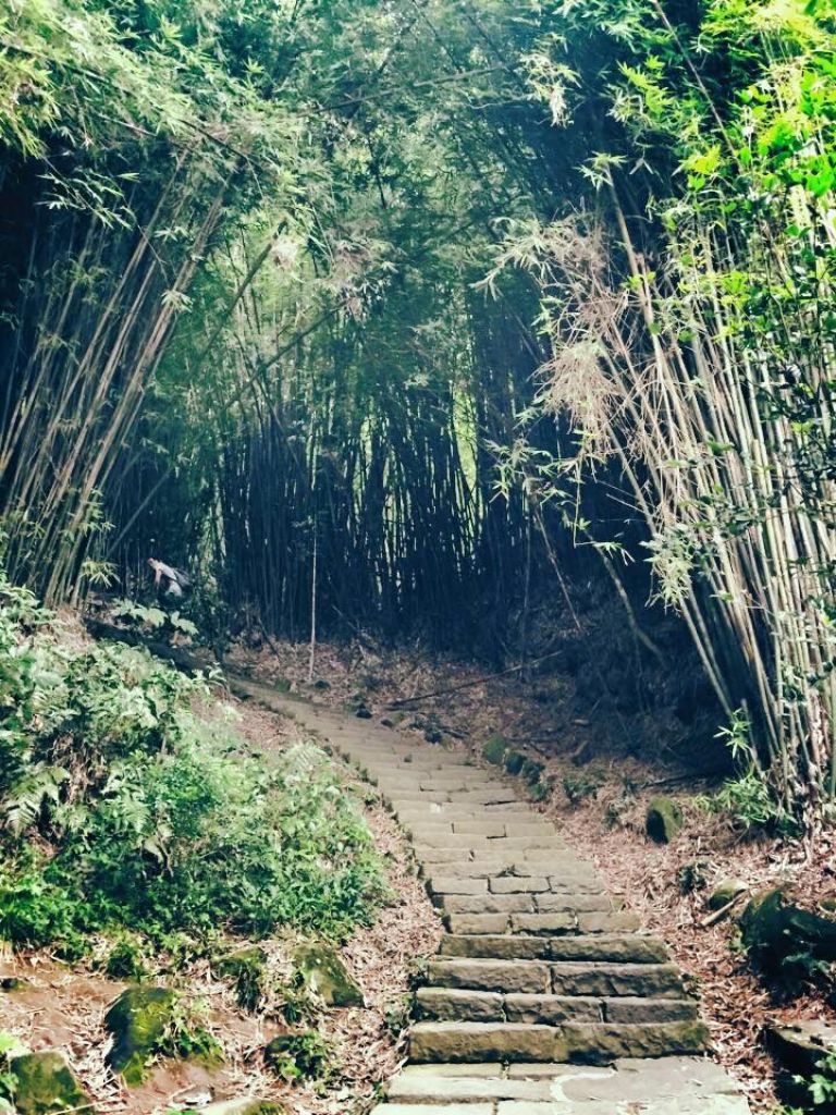 硬漢嶺登山步道 - 觀音山_183570