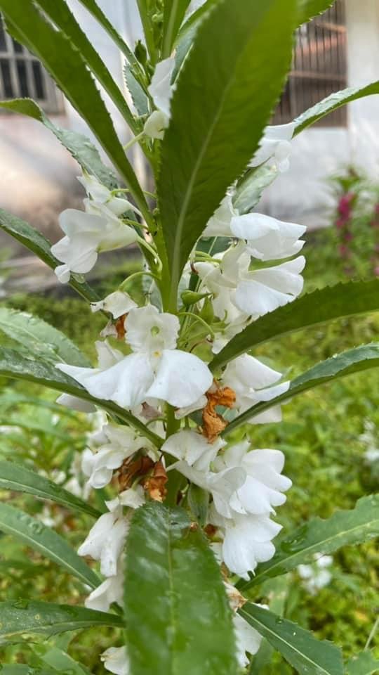 淡蘭古道北中南路全段共15段_2567910