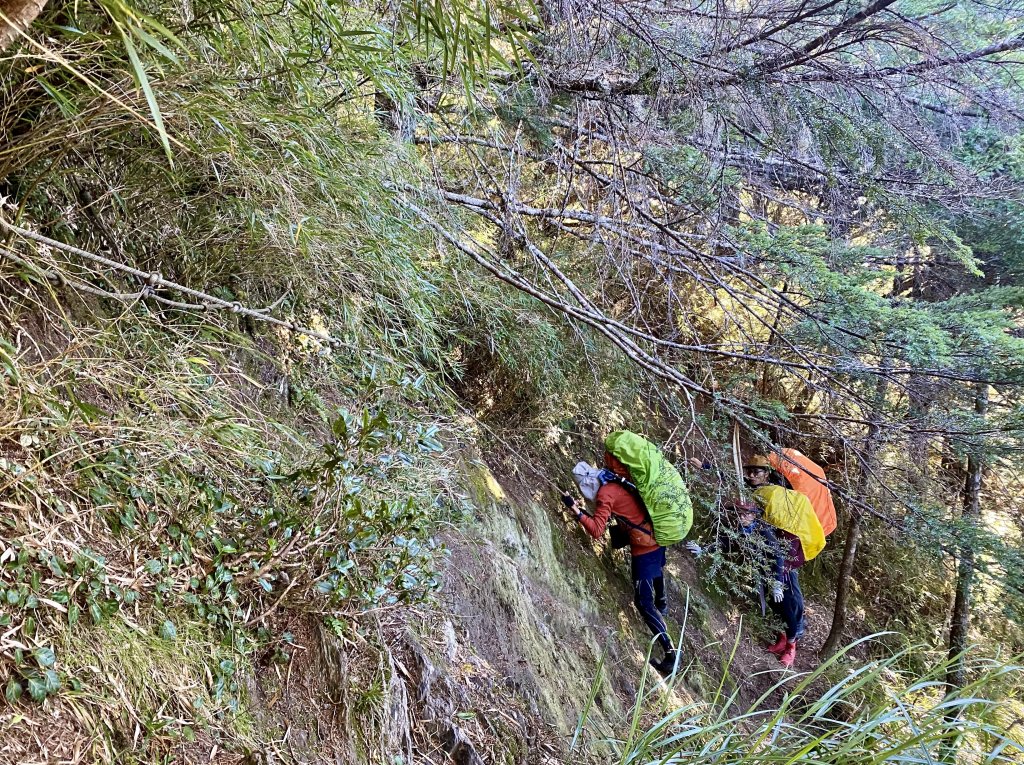 奇萊東稜翻山越嶺的淚與笑D3 2022/10/1—鐵線斷崖前營地至太魯閣北鞍營地封面圖