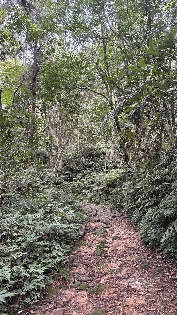 20231029熊空林道_2354609