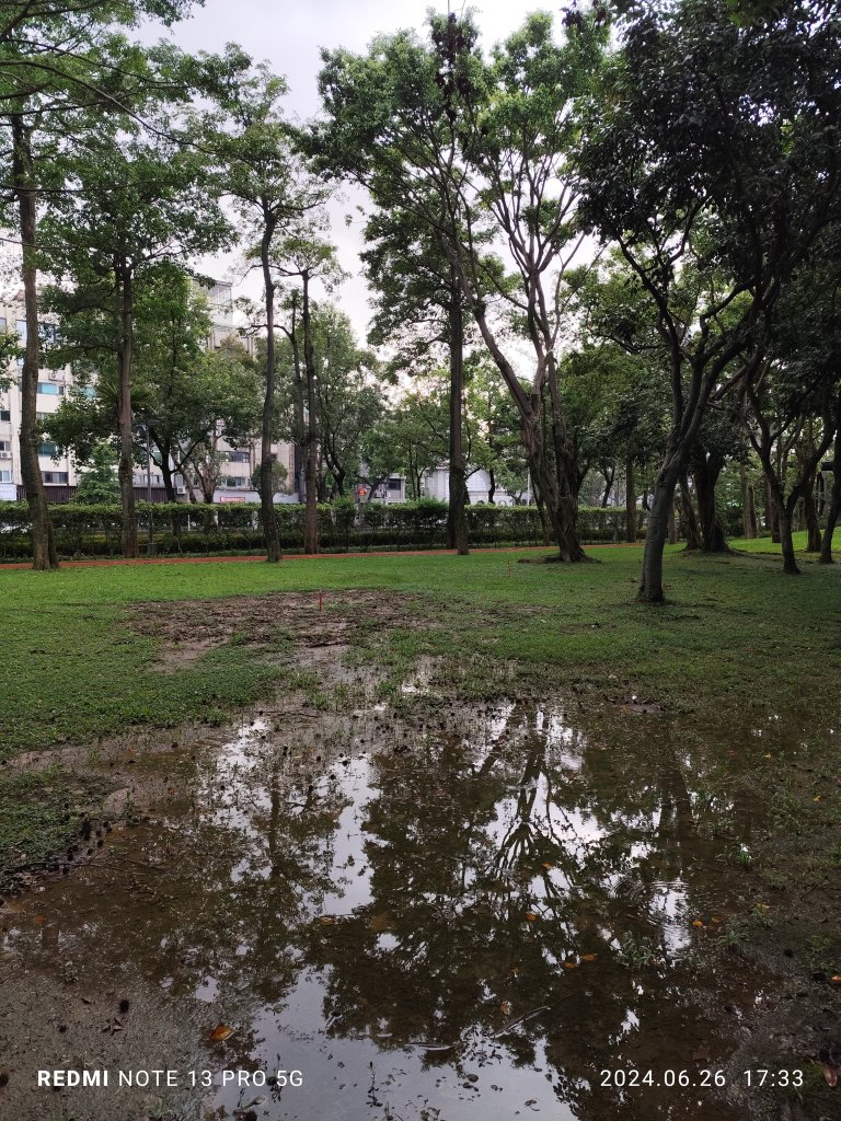大安森林公園、寧夏夜市、士林夜市【走路趣尋寶】【臺北健走趣】_2536317