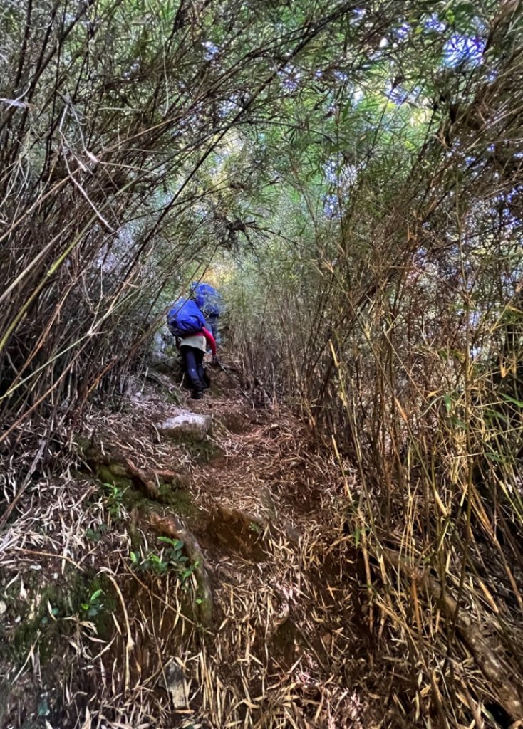 奇萊東稜_1777121