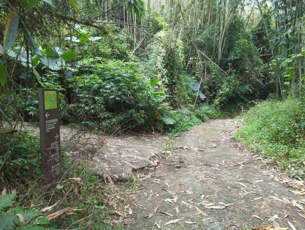 2024.10.12－會讓人迷糊的地方：迷糊步道_2627773