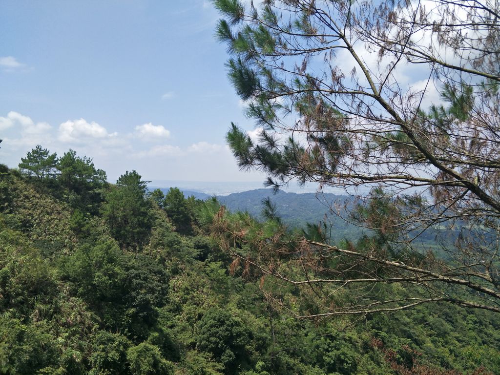 大坑4號步道&頭嵙山_374916