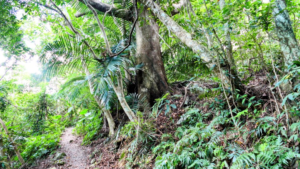 雲森瀑布_2872184