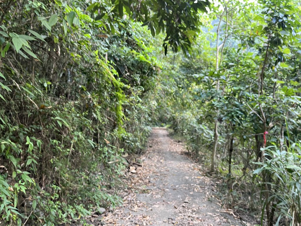 2023_1118 三腳南山_2353227