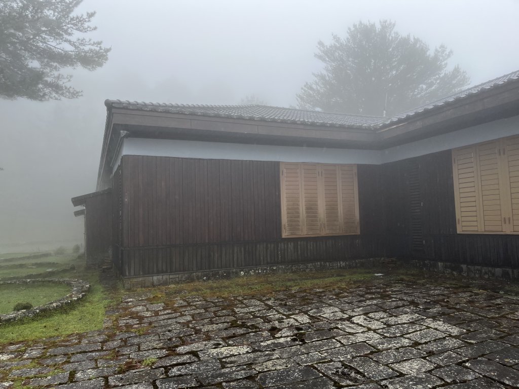 鹿林山-鹿林前山-真鹿林山-石水山-石水山基點峰 2025.5.25_2798407