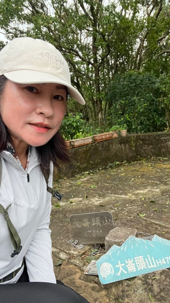 小百岳_大崙頭山_2959964