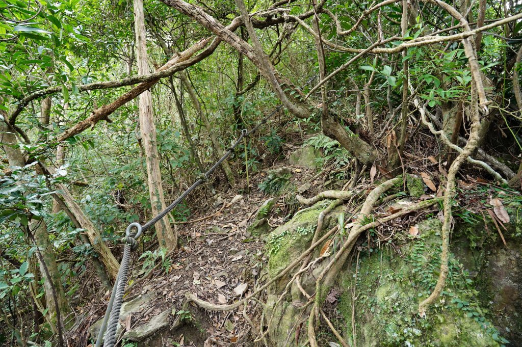 新北 烏來 大刀山、拉樸山、阿玉溪山_2704960
