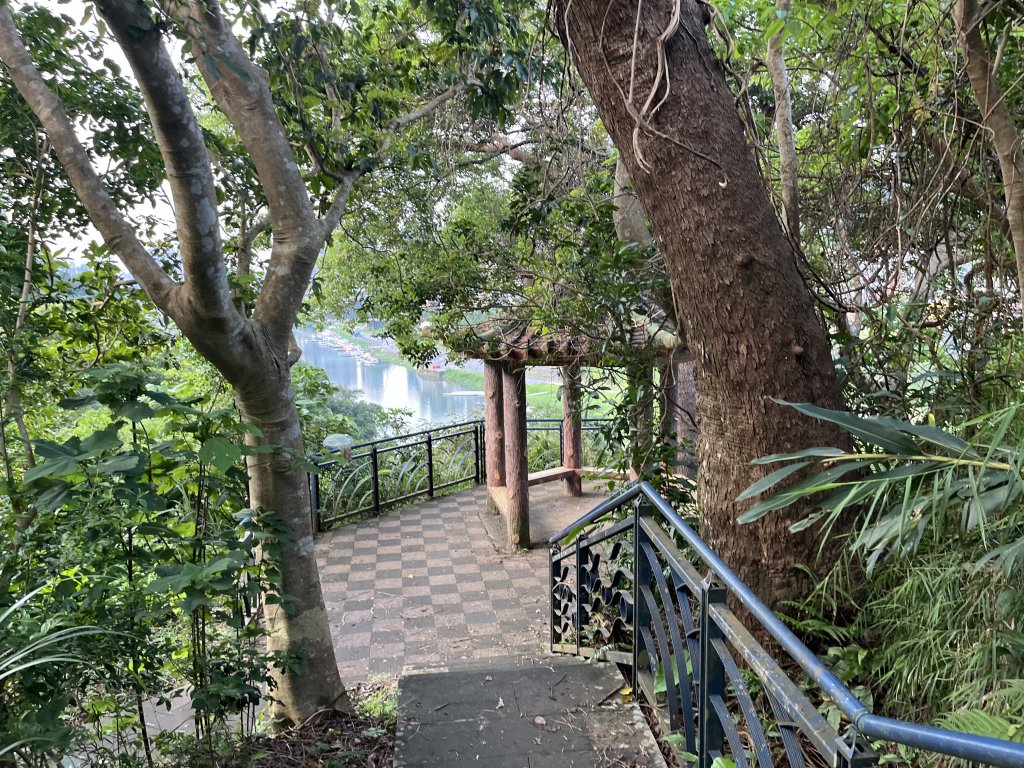 [百山百鳥尋旅-01/15] 2025_0807 和美山步道_2854597